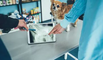 Diagnostica per immagini con radiologia digitale